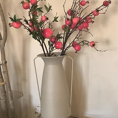 Apartment Gongora